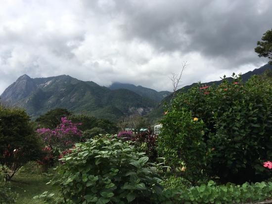 Yakushima Botanical Research Park